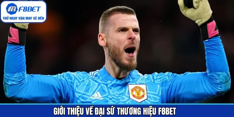 Thông tin về đại sứ thương hiệu David De Gea