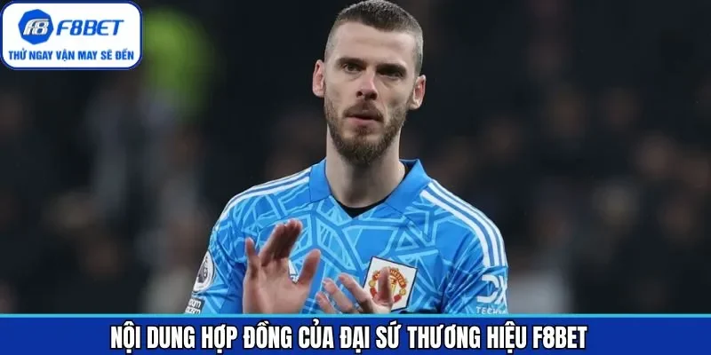 Nội dung hợp đồng của đại sứ thương hiệu David De Gea