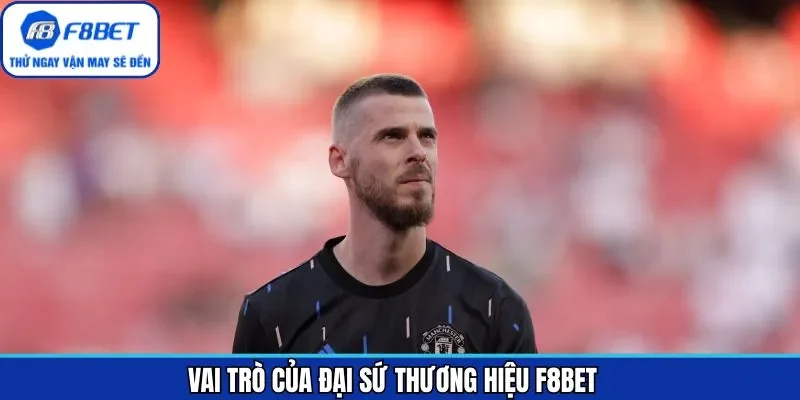 Vai trò chính của đại sứ thương hiệu F8BET